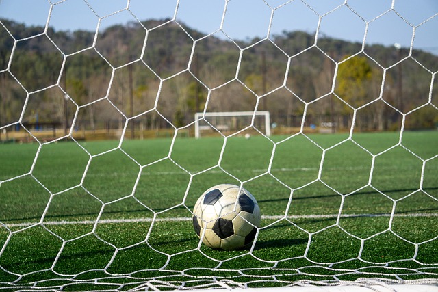 星是把双刃 星是把双刃