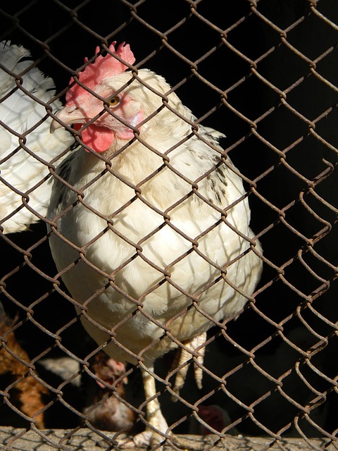 轮比赛再度 轮比赛再度