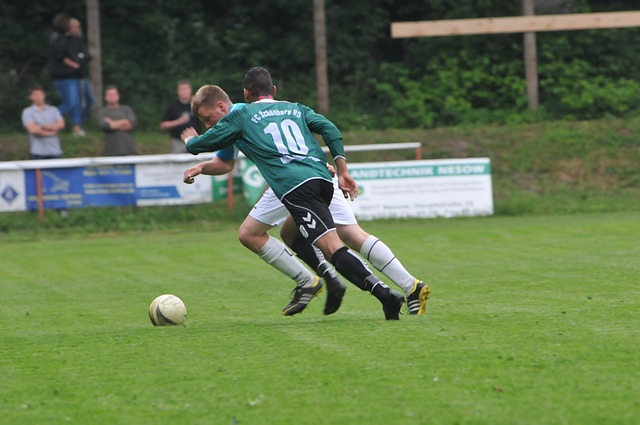 经验丰富的 经验丰富的