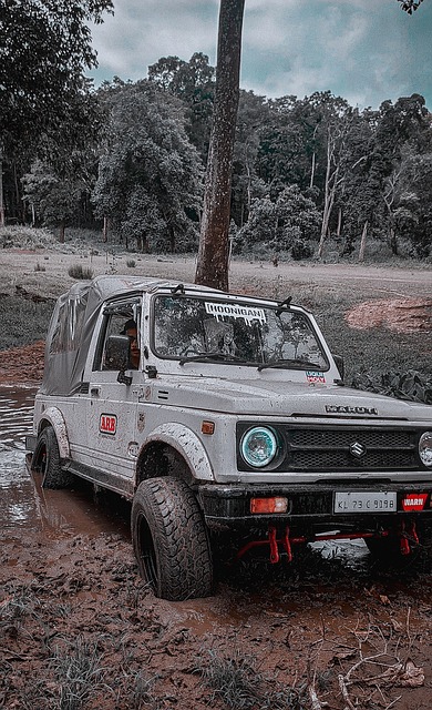 随着冬奥会 随着冬奥会