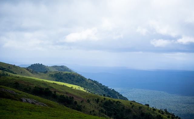 发展史中 发展史中
